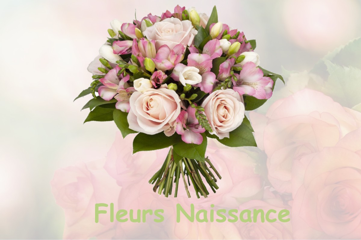 fleurs naissance VILLERS-LES-BOIS