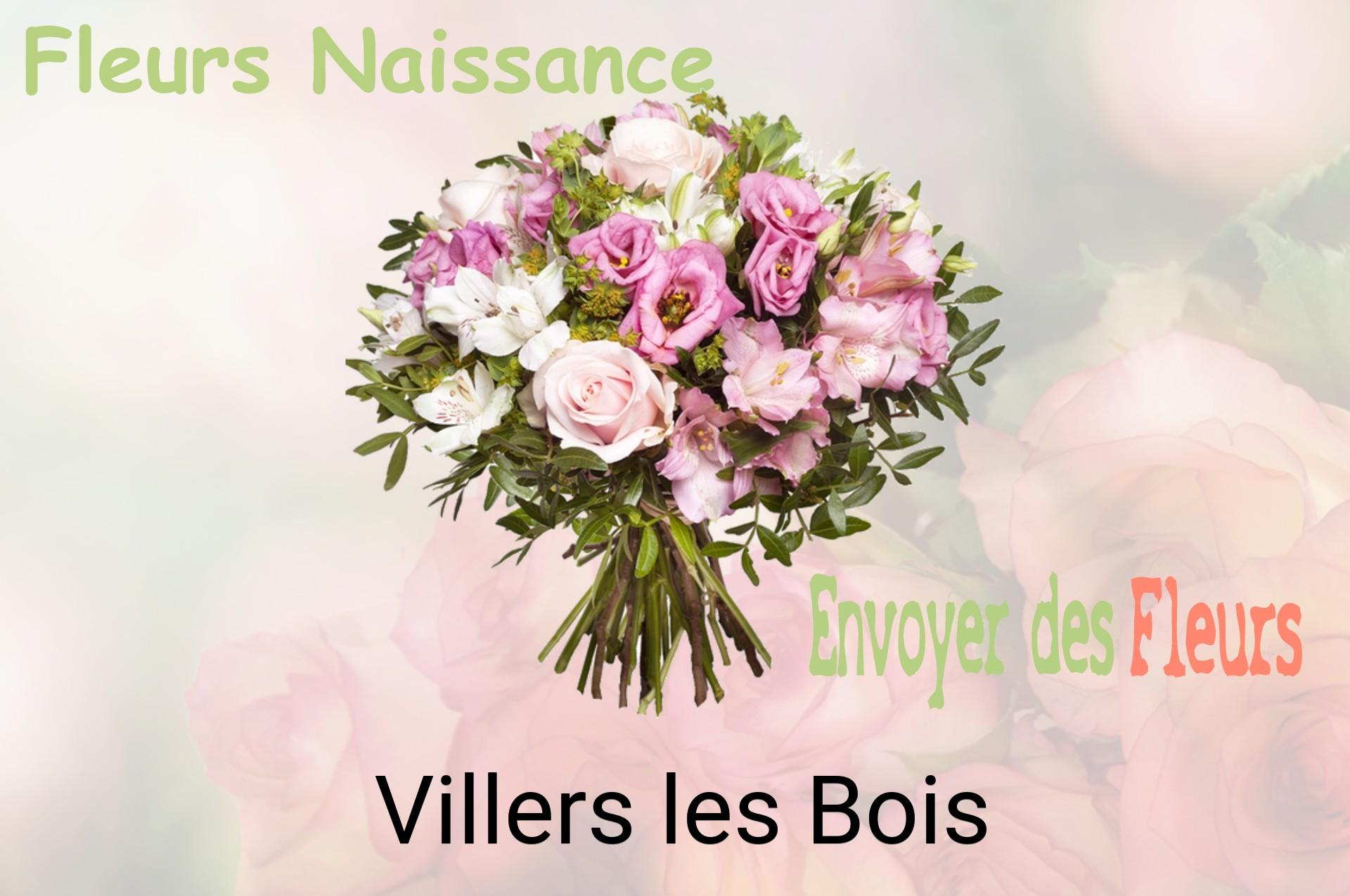 Bouquet de fleurs de naissance livré à Villers-les-Bois