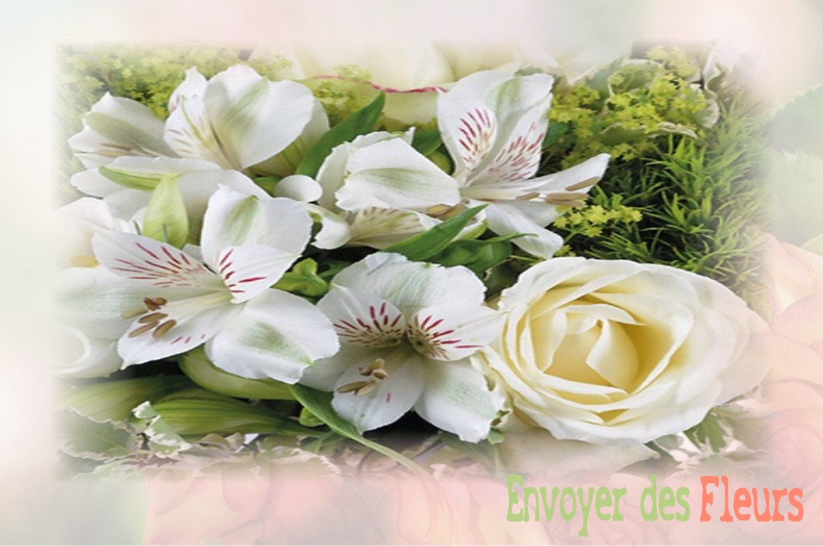 envoyer des fleurs à à VILLERS-LES-BOIS