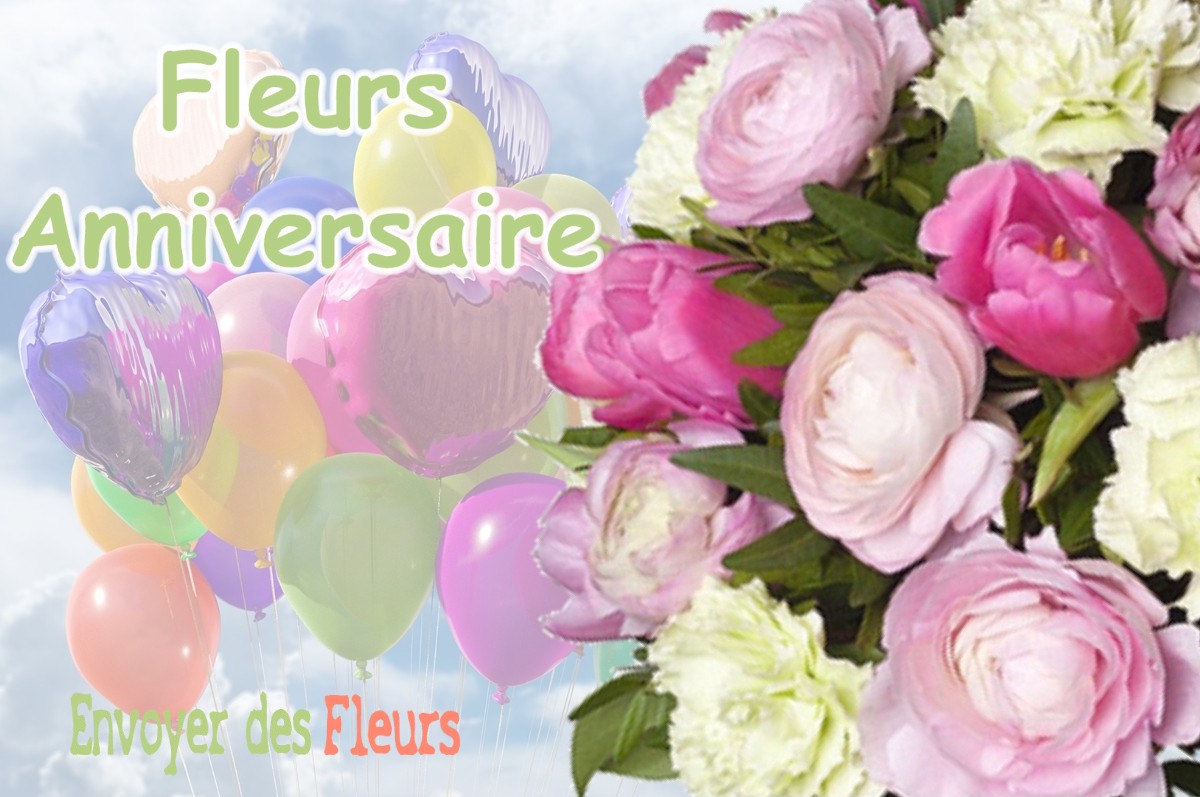 lIVRAISON FLEURS ANNIVERSAIRE à VILLERS-LES-BOIS