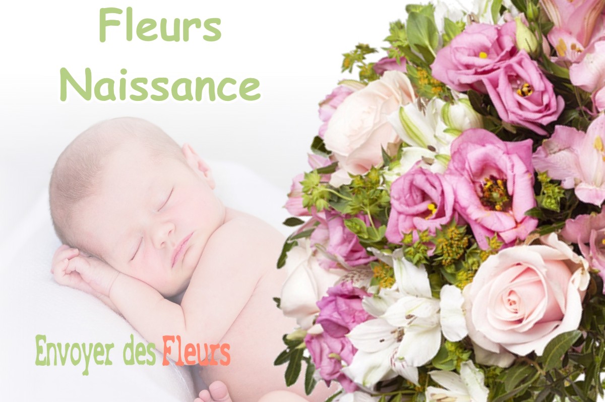 lIVRAISON FLEURS NAISSANCE à VILLERS-LES-BOIS