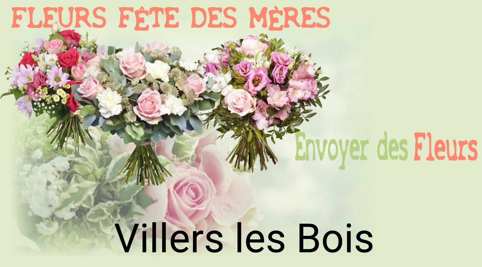 Bouquet de Fête des Mères livré à Villers-les-Bois